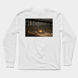 Seashell at Sea 3 Long Sleeve T-Shirt